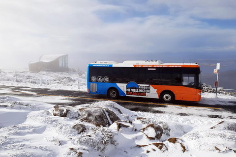 Hobart Hop-On Hop-Off Bus & Kunanyi/Mt Wellington Tour - Your Accommodation 5