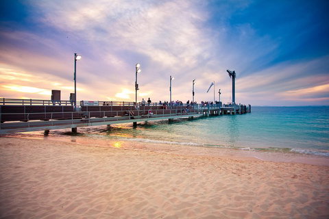 Tangalooma Island Resort Whale Watching Day Cruise With Dolphin Viewing - Your Accommodation 3