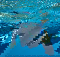 3 Day Whitsundays Sailing and Diving Adventure Kiana - Your Accommodation