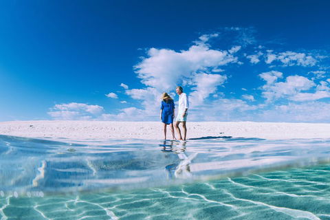 4-Day Coastal Loop Via Monkey Mia Wild Dolphins Kalbarri Pinnacles Perth Return - Your Accommodation 0