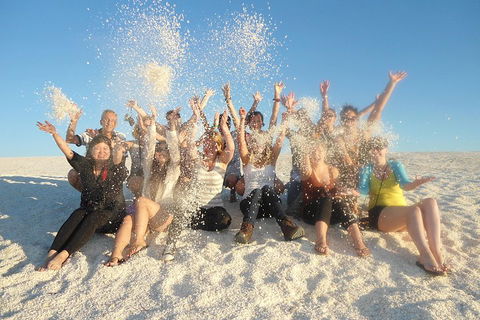 4-Day Coastal Loop Via Monkey Mia Wild Dolphins Kalbarri Pinnacles Perth Return - Your Accommodation 1
