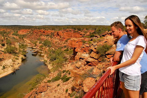 4-Day Coastal Loop Via Monkey Mia Wild Dolphins Kalbarri Pinnacles Perth Return - Your Accommodation 3