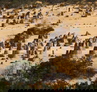 Pinnacles Sunset Dinner and Stargazing Experience a Small Group Tour