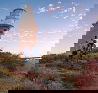 6-Day Coral Coaster from Perth to Exmouth One-Way via Monkey Mia Ningaloo Reef