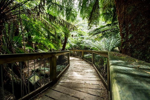 Melbourne To Adelaide South East Coast 3 Day Overland Tour - Your Accommodation 1