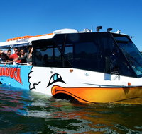 Paradise Jet Boating and Aquaduck Combo - Your Accommodation