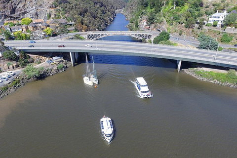 2.50 Hour Afternoon Discovery Cruise Including Cataract Gorge Departing At 3 Pm - Your Accommodation 1