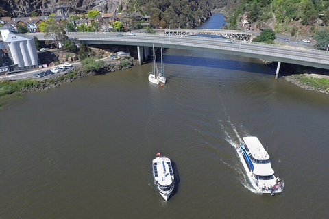 2.50 Hour Afternoon Discovery Cruise Including Cataract Gorge Departing At 3 Pm - Your Accommodation 3