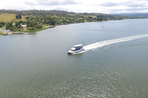 2.50 Hour Afternoon Discovery Cruise Including Cataract Gorge Departing At 3 Pm - Your Accommodation 4