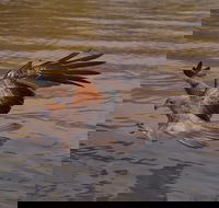 Litchfield and Jumping Crocodiles Full Day Trip from Darwin - Your Accommodation