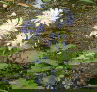 Yellow Water Cruise - Kakadu - Your Accommodation