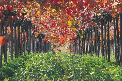 Margaret River Private Tour - Your Accommodation 0