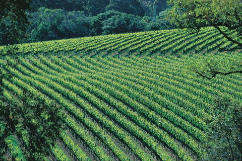 Margaret River Private Tour - Your Accommodation 4