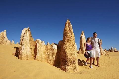 Pinnacles Day Trip From Perth Including Yanchep National Park - Your Accommodation 0