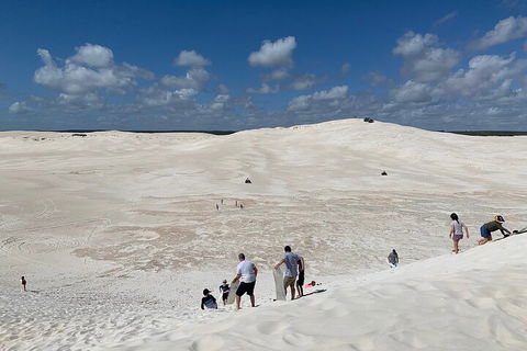 Pinnacles Day Trip From Perth Including Yanchep National Park - Your Accommodation 2
