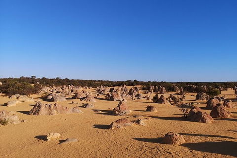 Pinnacles Day Trip From Perth Including Yanchep National Park - Your Accommodation 3