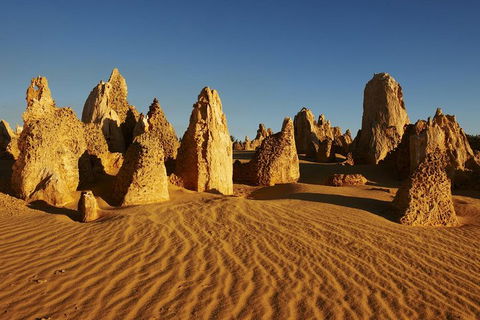 Pinnacles Day Trip From Perth Including Yanchep National Park - Your Accommodation 5
