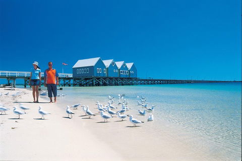 Margaret River And Geographe Bay Region Day Trip From Perth - Your Accommodation 0