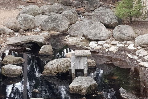 Bendigo, Echuca & The Mighty Murray - Your Accommodation 1