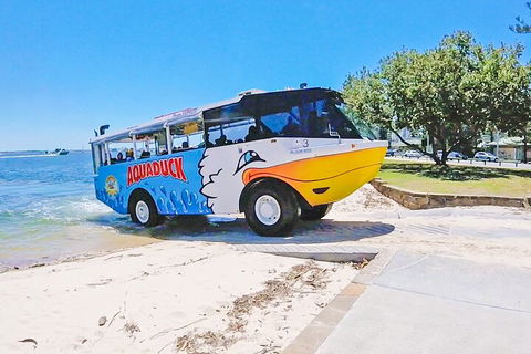 Aquaduck & Your Choice Of Gold Coast Rainforest Tour - Your Accommodation 1