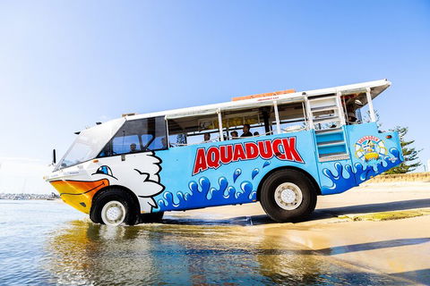 Aquaduck & Your Choice Of Gold Coast Rainforest Tour - Your Accommodation 3