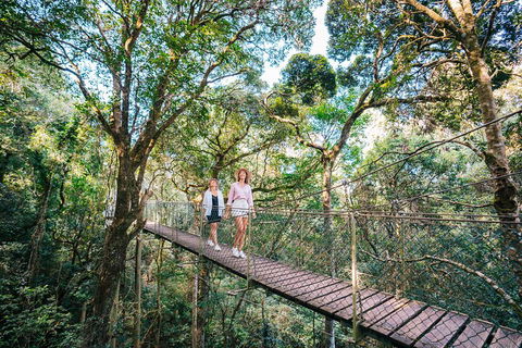 Aquaduck & Your Choice Of Gold Coast Rainforest Tour - Your Accommodation 4