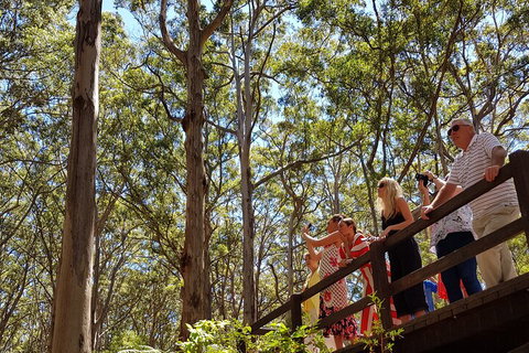 The All About Margaret River Tour: Wine, Coffee, Lunch And Forest - Your Accommodation 3
