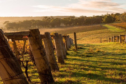 The All About Margaret River Tour: Wine, Coffee, Lunch And Forest - Your Accommodation 5