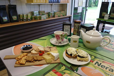 Atherton Tablelands Small-Group Food & Wine Tasting Tour From Port Douglas - Your Accommodation 5