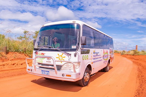Malcolm Douglas Crocodile Park Tour Including Transportation - Your Accommodation 3