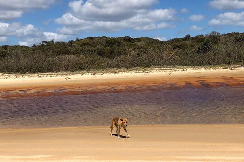 Pippies 3 Days 2 Nights Fraser Island Tour - Your Accommodation 2