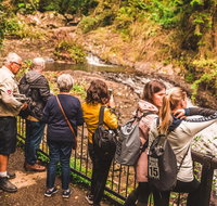 Full-day Springbrook National Park Tour from the Gold Coast - Your Accommodation