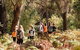 Half-Day Yanchep Ghost House Wilderness Guided Hike Tour - thumb 0