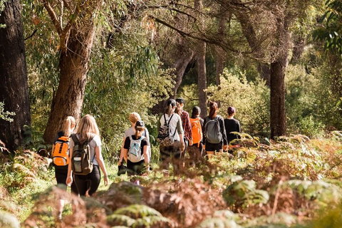 Half-Day Yanchep Ghost House Wilderness Guided Hike Tour - Your Accommodation 0