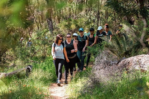 Half-Day Yanchep Ghost House Wilderness Guided Hike Tour - Your Accommodation 3