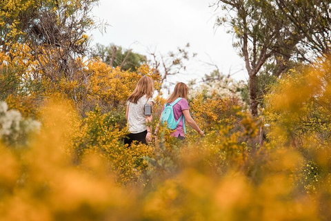 Half-Day Yanchep Ghost House Wilderness Guided Hike Tour - Your Accommodation 4
