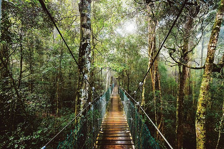 Bundall QLD Your Accommodation