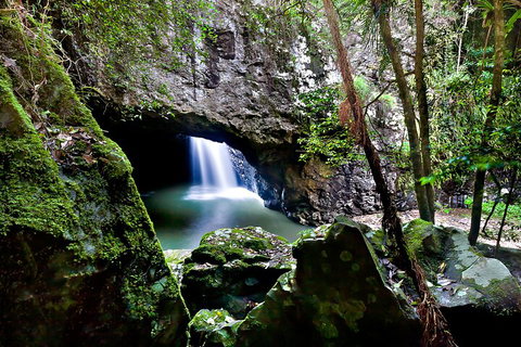 Natural Bridge & Springbrook Waterfalls Tour + Hot Air Balloon With Breakfast - Your Accommodation 4