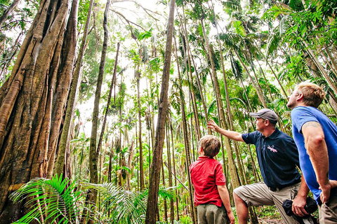 Natural Bridge & Springbrook Waterfalls Tour + Hot Air Balloon With Breakfast - Your Accommodation 5