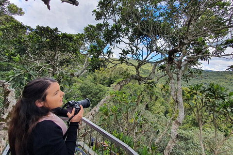 Lamington National Park, O'Reilly's & Vineyard Tour - Your Accommodation 1