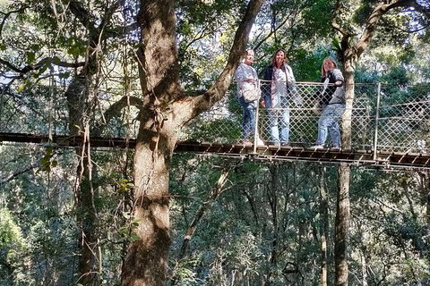Lamington National Park, O'Reilly's & Vineyard Tour - Your Accommodation 2