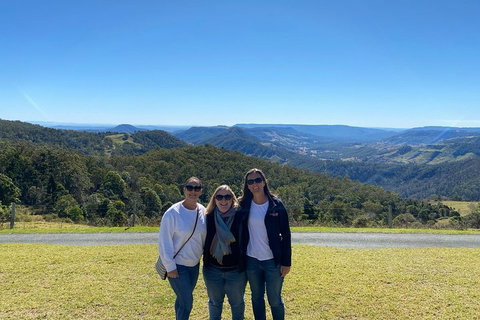 Lamington National Park, O'Reilly's & Vineyard Tour - Your Accommodation 3