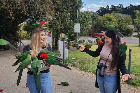 Lamington National Park, O'Reilly's & Vineyard Tour - Your Accommodation 5