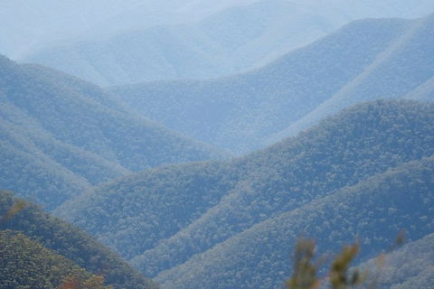 From The Mountains To The Bay - 4 Day Rediscovery Private Tour - Your Accommodation 1