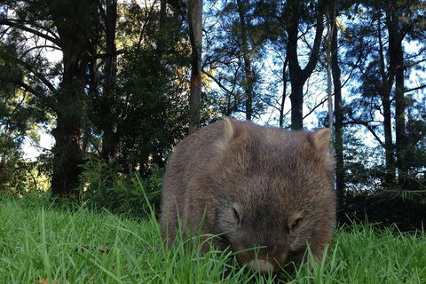 From The Mountains To The Bay - 4 Day Rediscovery Private Tour - Your Accommodation 5