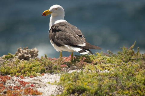From The Mountains To The Bay - 4 Day Rediscovery Small Group Tour - Your Accommodation 1