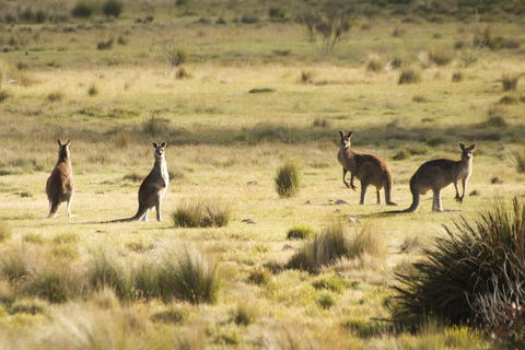 From The Mountains To The Bay - 4 Day Rediscovery Small Group Tour - Your Accommodation 4