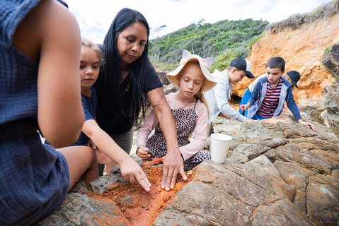 Cape Byron Aboriginal Tour - Your Accommodation 1