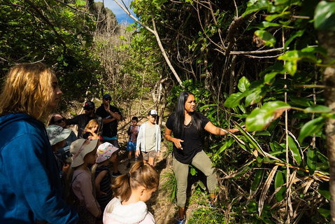 Cape Byron Aboriginal Tour - Your Accommodation 4