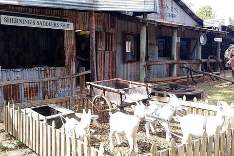 Full Day Atherton Tablelands Tour From Cairns - Your Accommodation 4